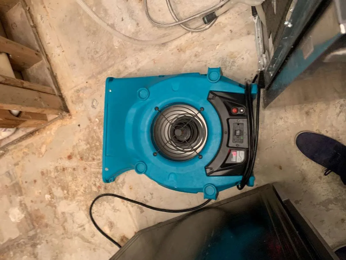 Air mover drying equipment for Mold Remediation & Removal in Altadena
